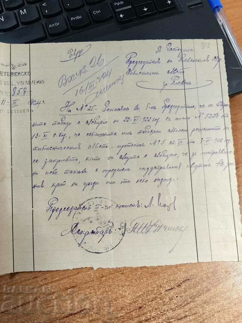 1924 PLEVEN CONSILIUL DE IGIENĂ DOCUMENT REGATUL BULGARIA