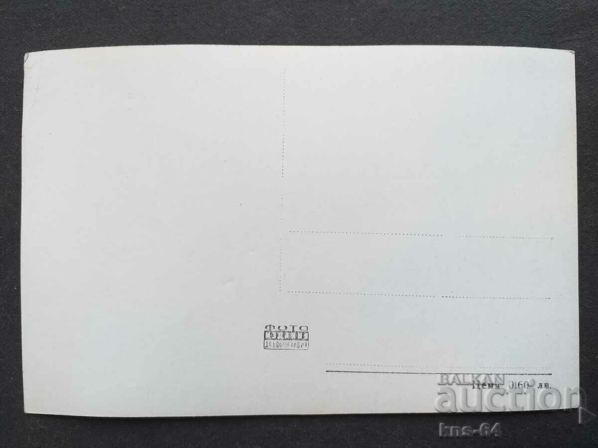 Danica Pattison with price 1.30 BGN | € 0.66 Danica Pattison with price 1.30 BGN | € 0.66