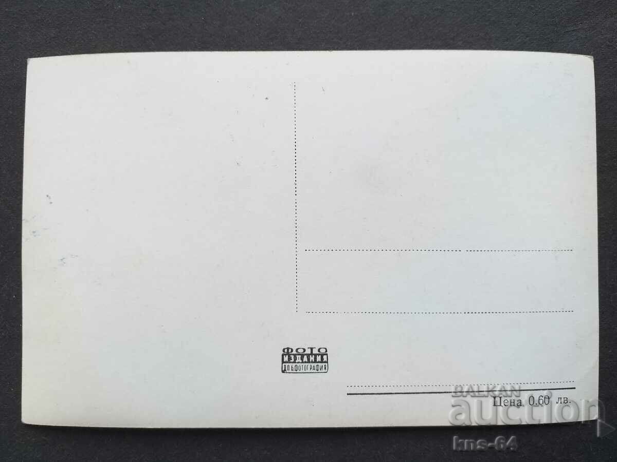 Αντονέλα Λουάλντι με τιμή 1.30 BGN | € 0.66