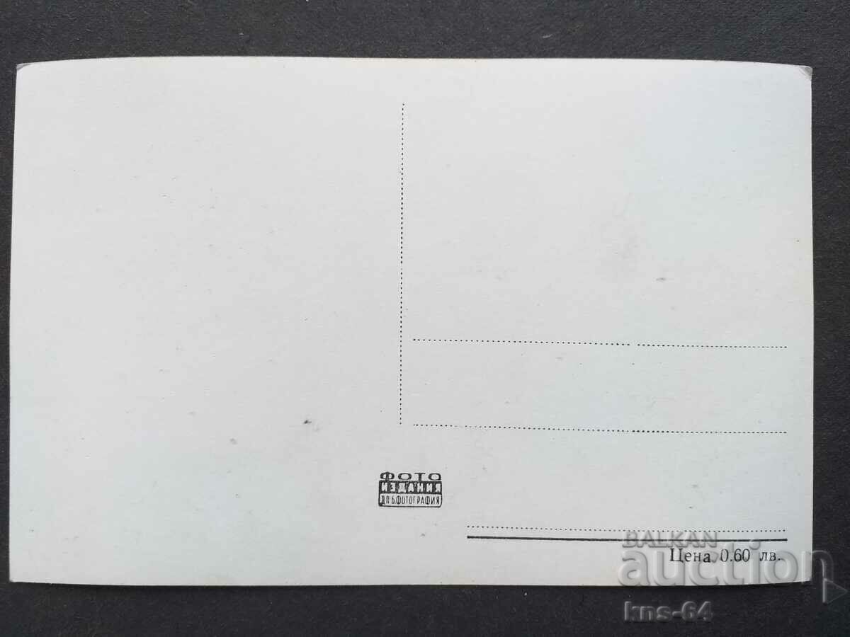 Belinda Lee with price 1.30 BGN | € 0.66 Belinda Lee with price 1.30 BGN | € 0.66