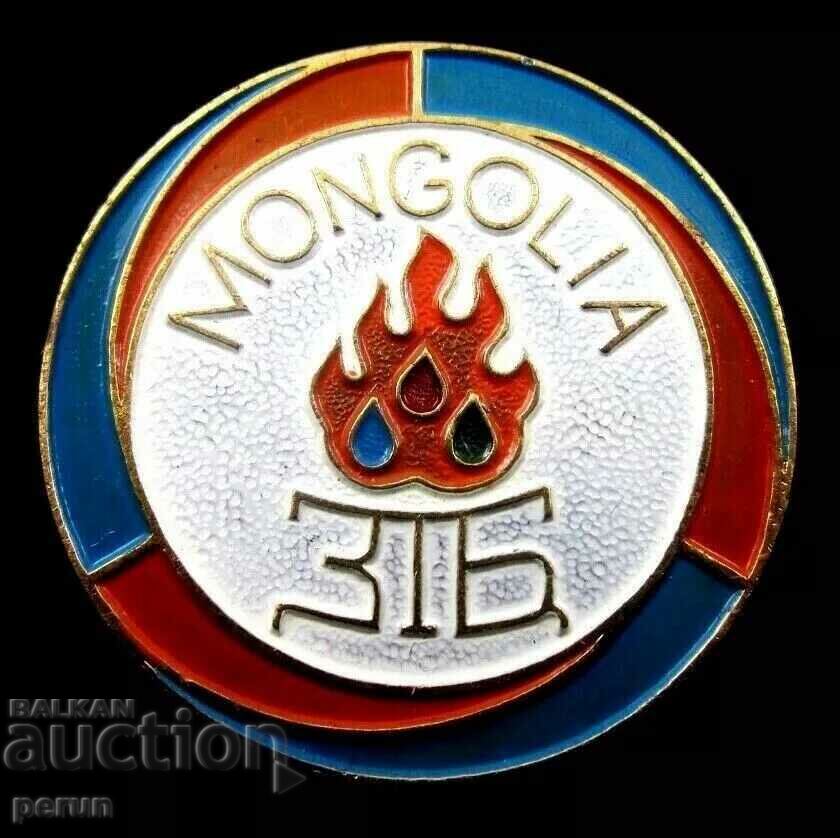 Old Mongolian badge-1960