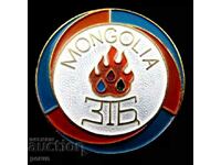 Old Mongolian badge-1960
