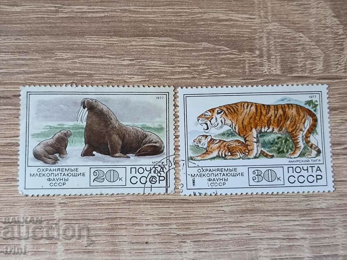 USSR Fauna protected mammals 1977