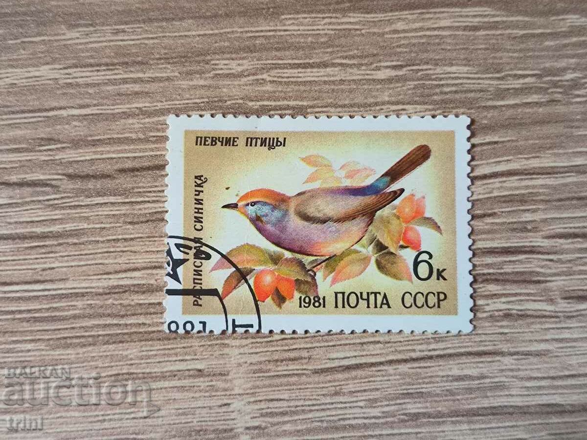 Fauna păsărilor cântece din URSS 1981