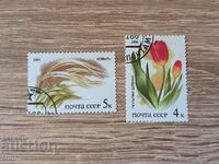 USSR Flora Steppe Plants 1986