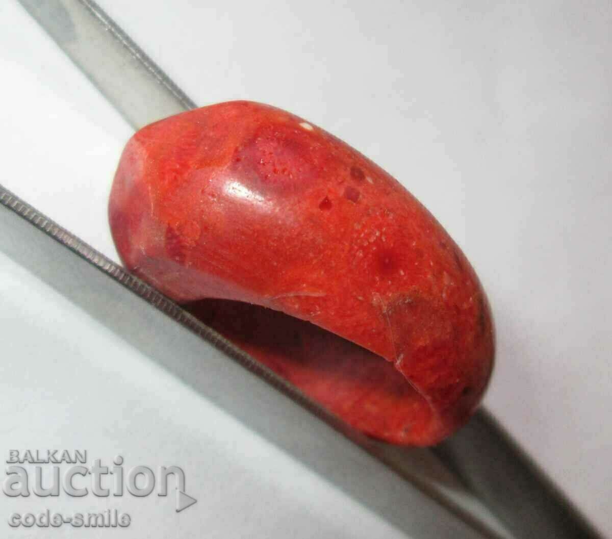 Old ladies ring jewelry natural red coral - 7 Old ladies ring jewelry natural red coral - 7