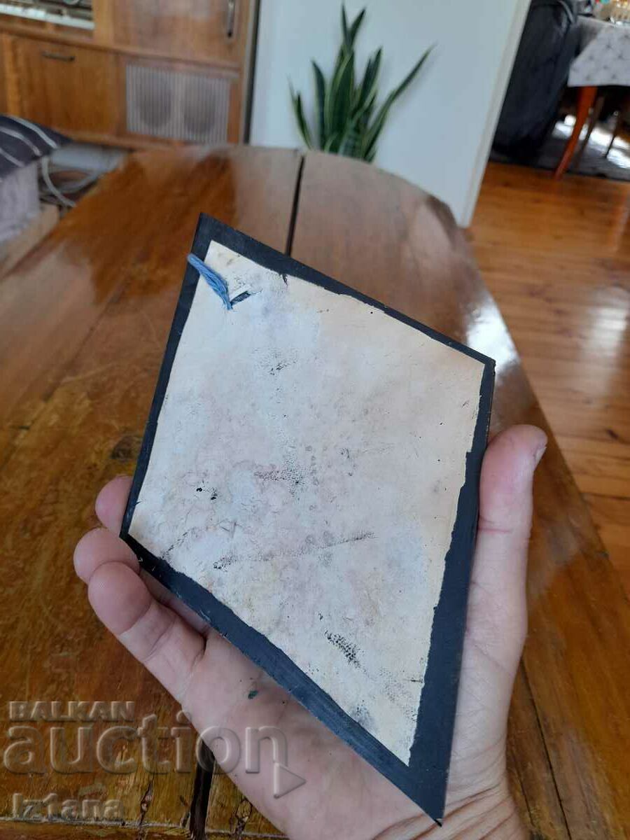 Auction  Old conifer