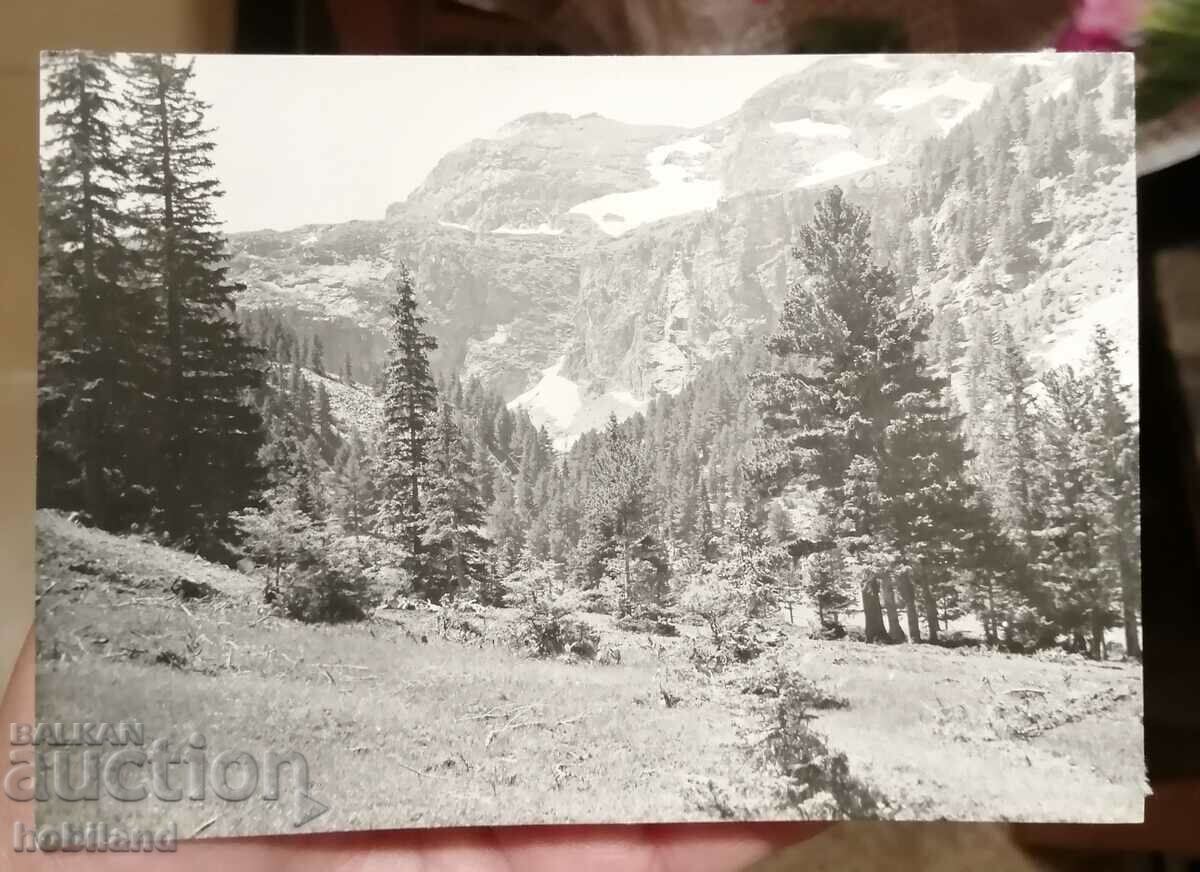 Postcard Rila 1963