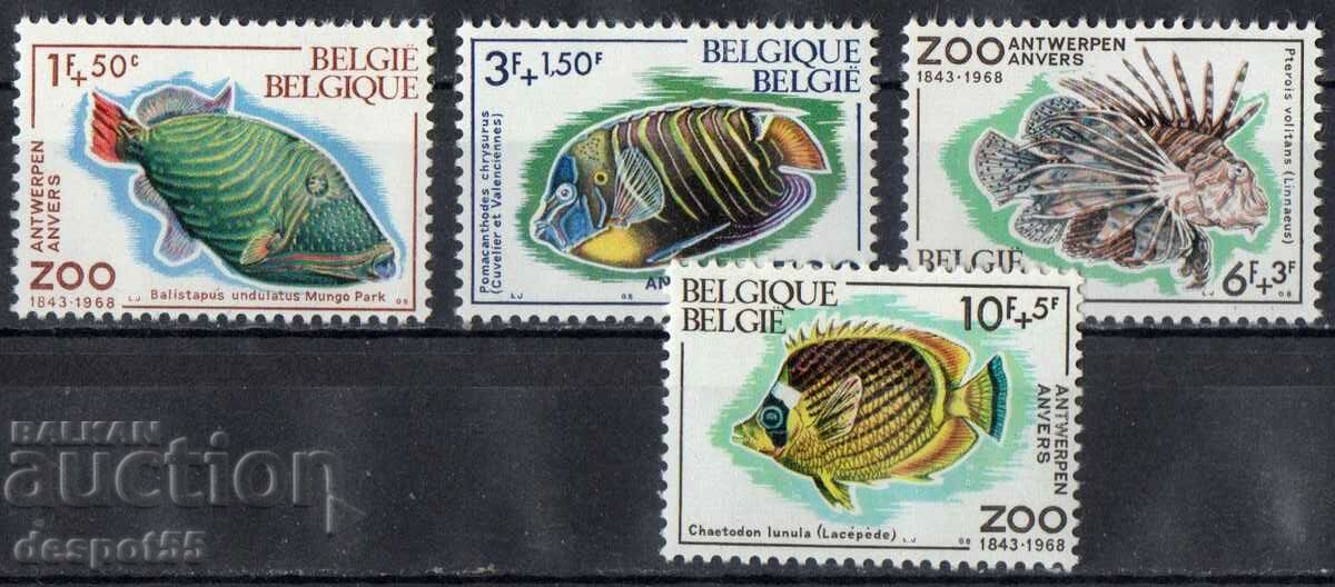 1968. Belgium. Fish.