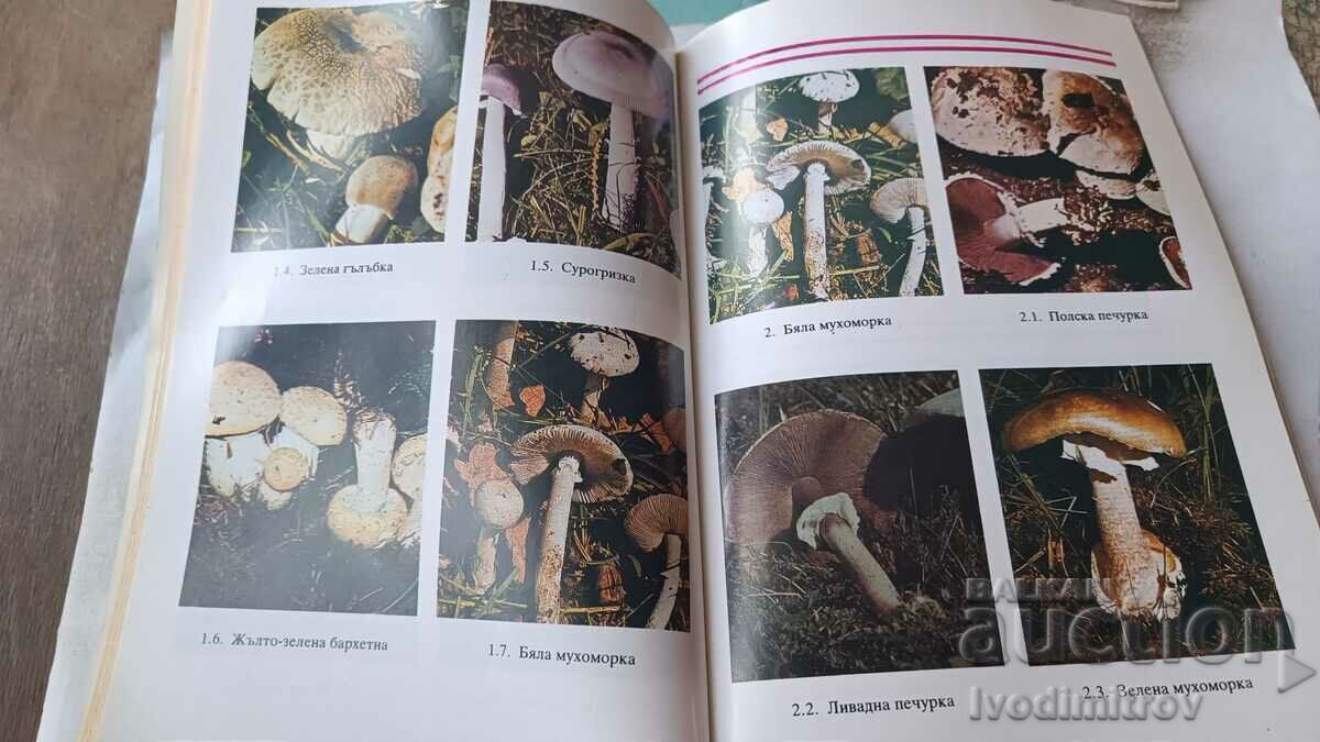 Auction Poisonous wild mushrooms and their counterparts - N. Kolev 1990 Auction Poisonous wild mushrooms and their counterparts - N. Kolev 1990