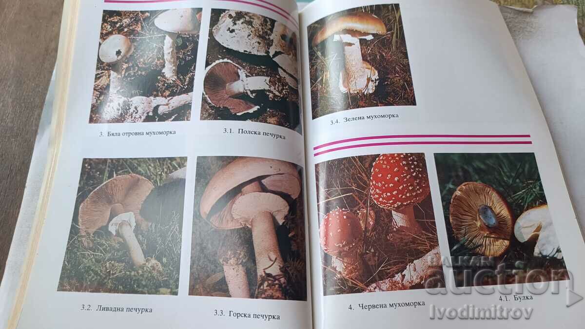 Delivery of Poisonous wild mushrooms and their counterparts - N. Kolev 1990 Delivery of Poisonous wild mushrooms and their counterparts - N. Kolev 1990