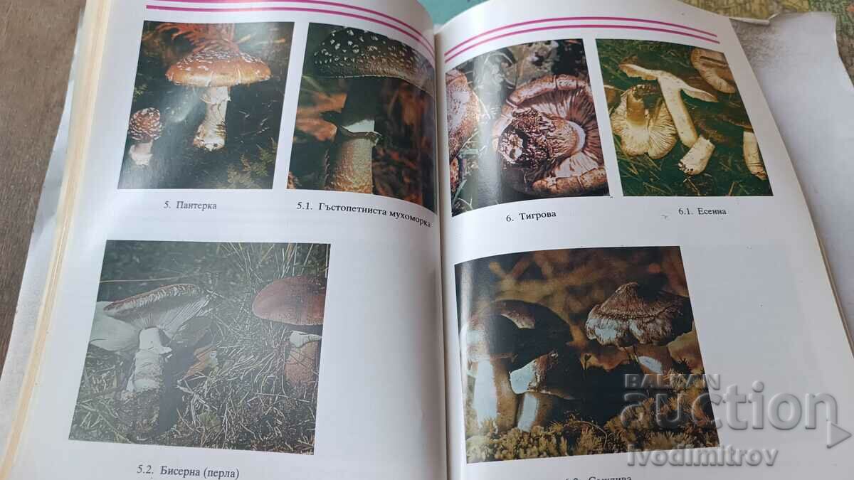 Poisonous wild mushrooms and their counterparts - N. Kolev 1990 - 5 Poisonous wild mushrooms and their counterparts - N. Kolev 1990 - 5