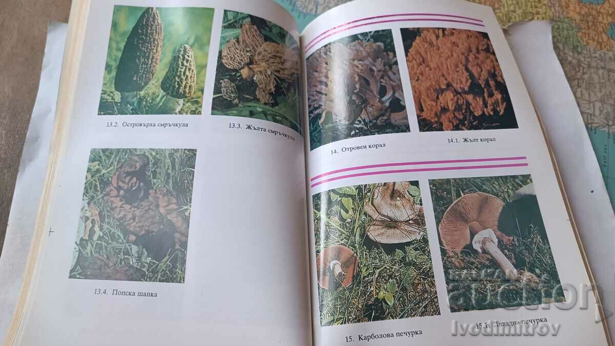 Poisonous wild mushrooms and their counterparts - N. Kolev 1990 - 6 Poisonous wild mushrooms and their counterparts - N. Kolev 1990 - 6