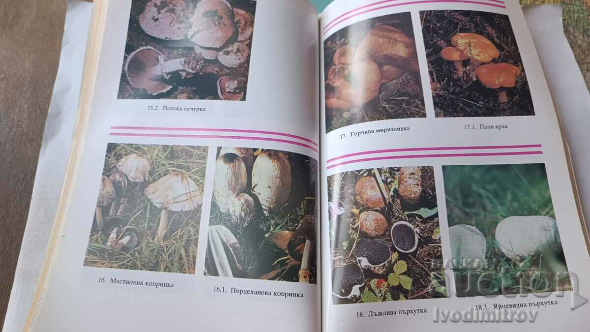 Poisonous wild mushrooms and their counterparts - N. Kolev 1990 - 7 Poisonous wild mushrooms and their counterparts - N. Kolev 1990 - 7