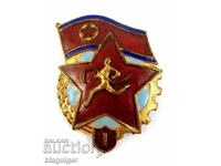 Old Badge-North Korea-Ready for Labor and Defense-Grade I