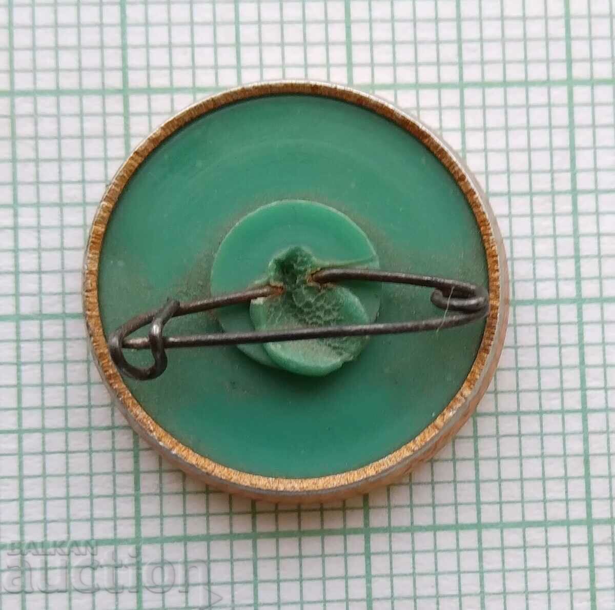 Auction 16117 Badge - USSR cosmonaut Auction 16117 Badge - USSR cosmonaut