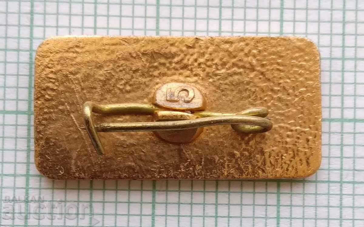 Аукцион 16123 Значка - град Сочи - Русия Аукцион 16123 Значка - град Сочи - Русия