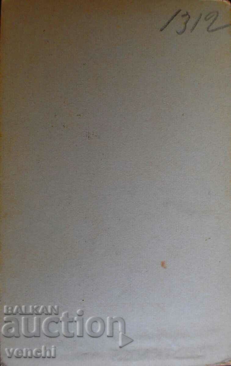 OLD PHOTO - CARDBOARD - RARE PHOTOGRAPHER - 1882 with price 9.99 BGN | € 5.11 OLD PHOTO - CARDBOARD - RARE PHOTOGRAPHER - 1882 with price 9.99 BGN | € 5.11