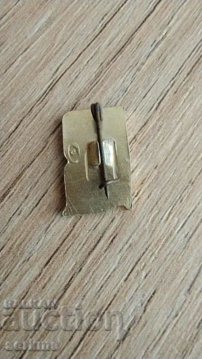 Badge with price 1.00 BGN | € 0.51