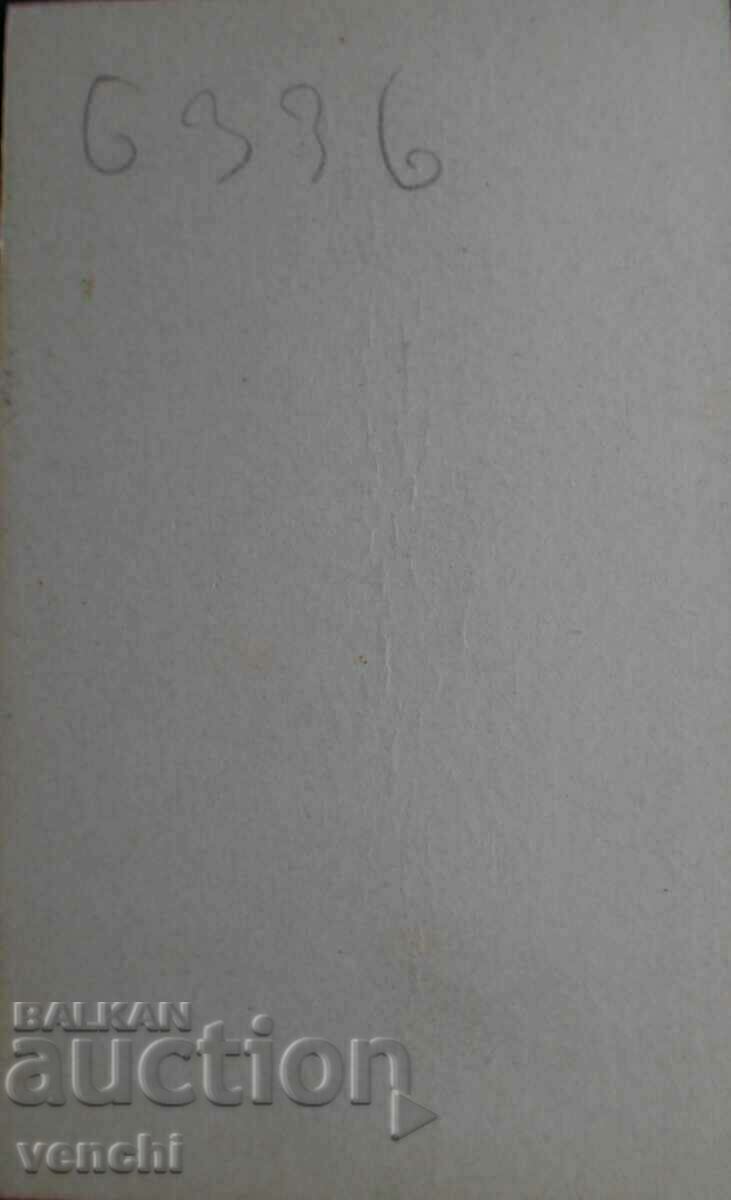 OLD PHOTO - CARDBOARD - RARE PHOTOGRAPHER - EXCELLENT - w118 with price 14.99 BGN | € 7.66 OLD PHOTO - CARDBOARD - RARE PHOTOGRAPHER - EXCELLENT - w118 with price 14.99 BGN | € 7.66
