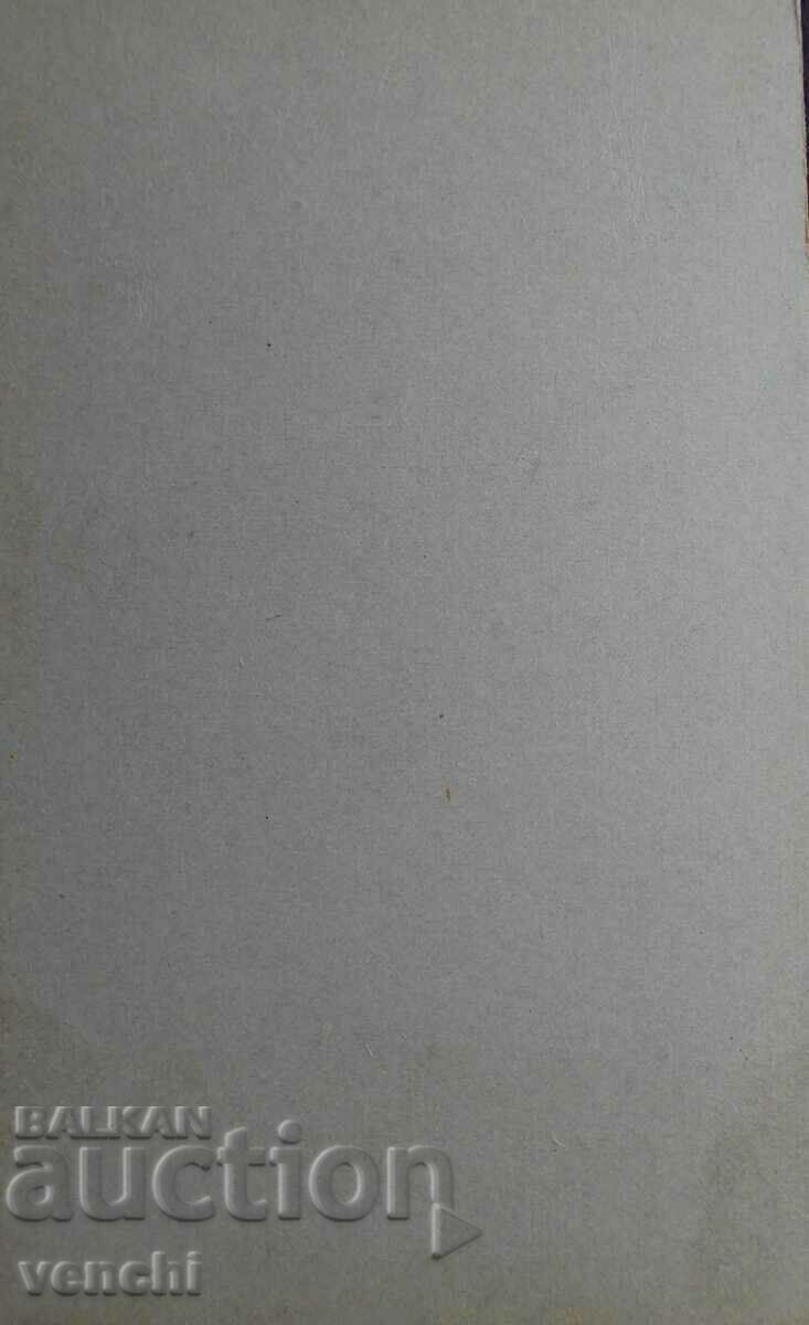 OLD PHOTO - CARDBOARD - RARE PHOTOGRAPHER - EXCELLENT with price 7.99 BGN | € 4.09 OLD PHOTO - CARDBOARD - RARE PHOTOGRAPHER - EXCELLENT with price 7.99 BGN | € 4.09