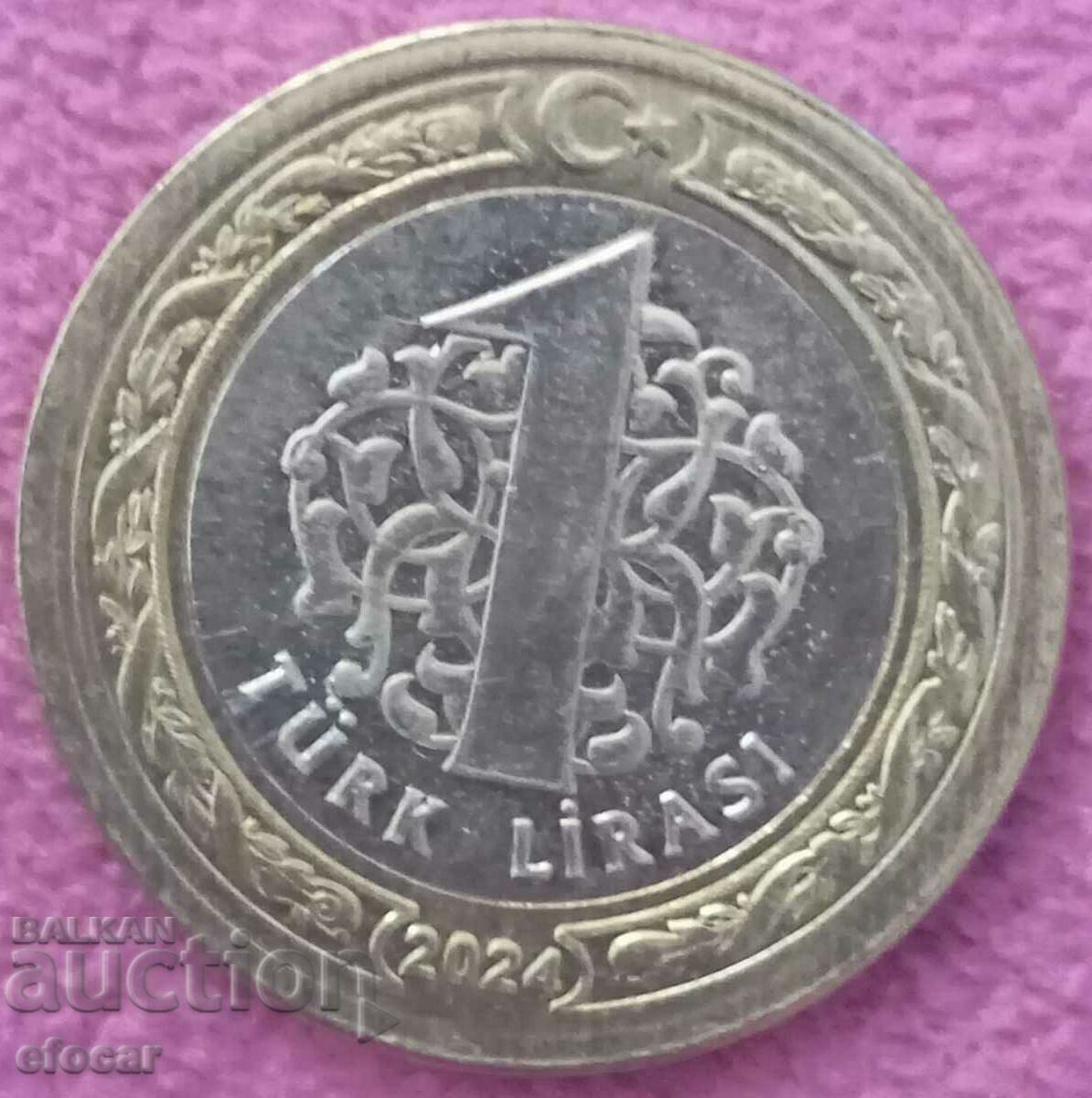 Auction 1 lira Turkey 2024 Auction 1 lira Turkey 2024