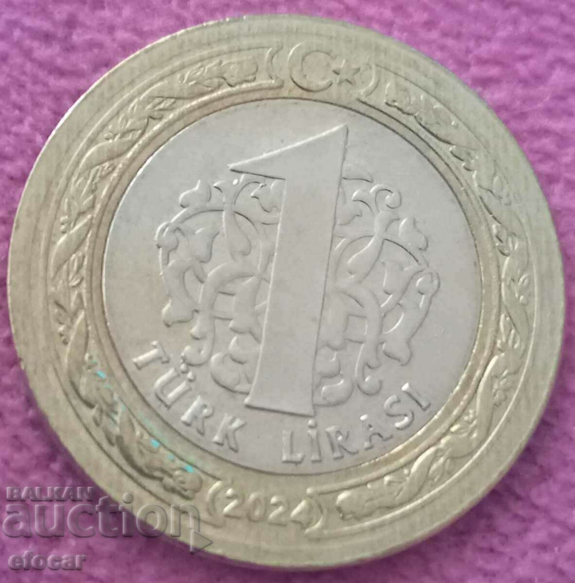 1 лира Турция 2024