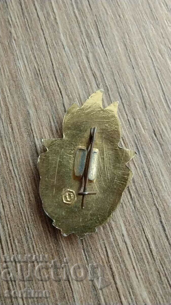 Badge with price 1.00 BGN | € 0.51 Badge with price 1.00 BGN | € 0.51