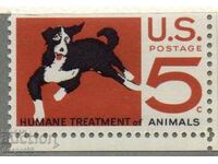 1966. USA. Animal welfare.