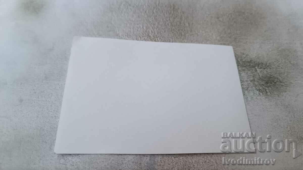 Photo Young Man of the Comet with price 1.65 BGN | € 0.84 Photo Young Man of the Comet with price 1.65 BGN | € 0.84