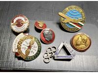 Rare Enamel Russian Badges Judge DOSAAF USSR