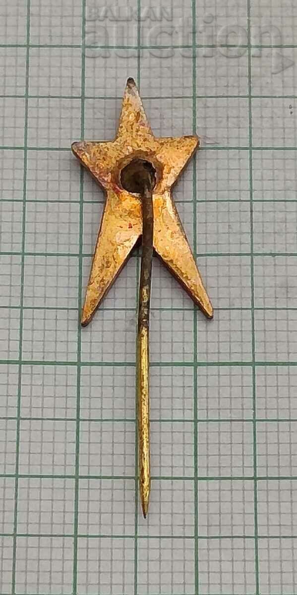 BUZLUDZA HOUSE-MONUMENT BKP STAR BADGE with price 3.00 BGN | € 1.53 BUZLUDZA HOUSE-MONUMENT BKP STAR BADGE with price 3.00 BGN | € 1.53