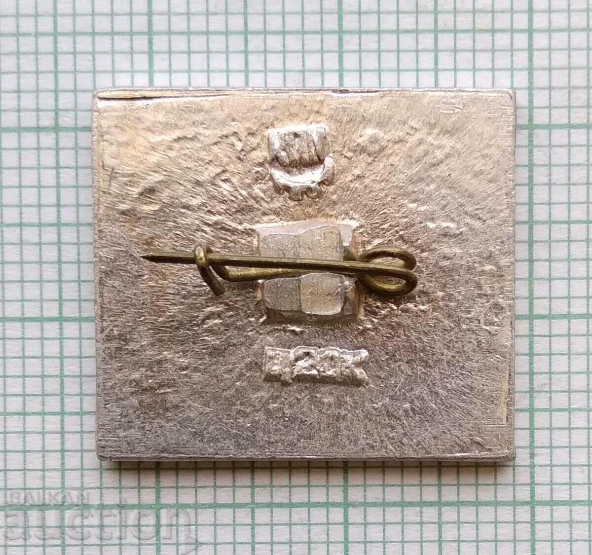 Auction  16168 Badge