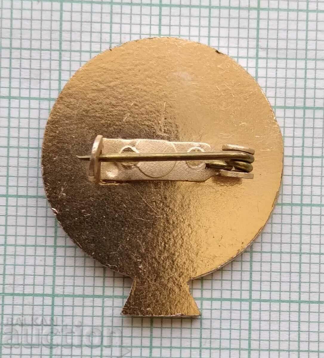 Auction 16170 Badge - Young Naturalist Auction 16170 Badge - Young Naturalist