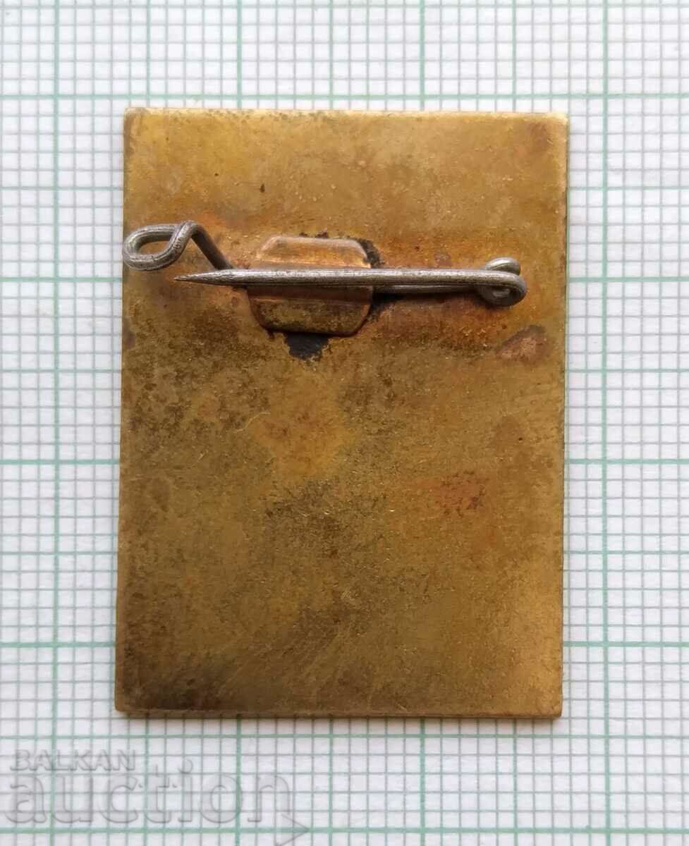 Auction  16171 Badge - 20 years BRV TESMA 1961-1981