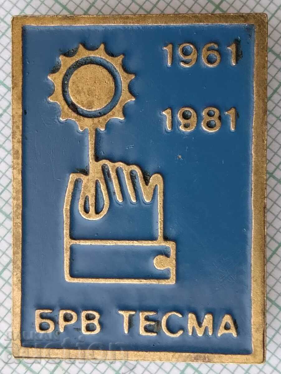 16171 Badge - 20 years BRV TESMA 1961 - 1981