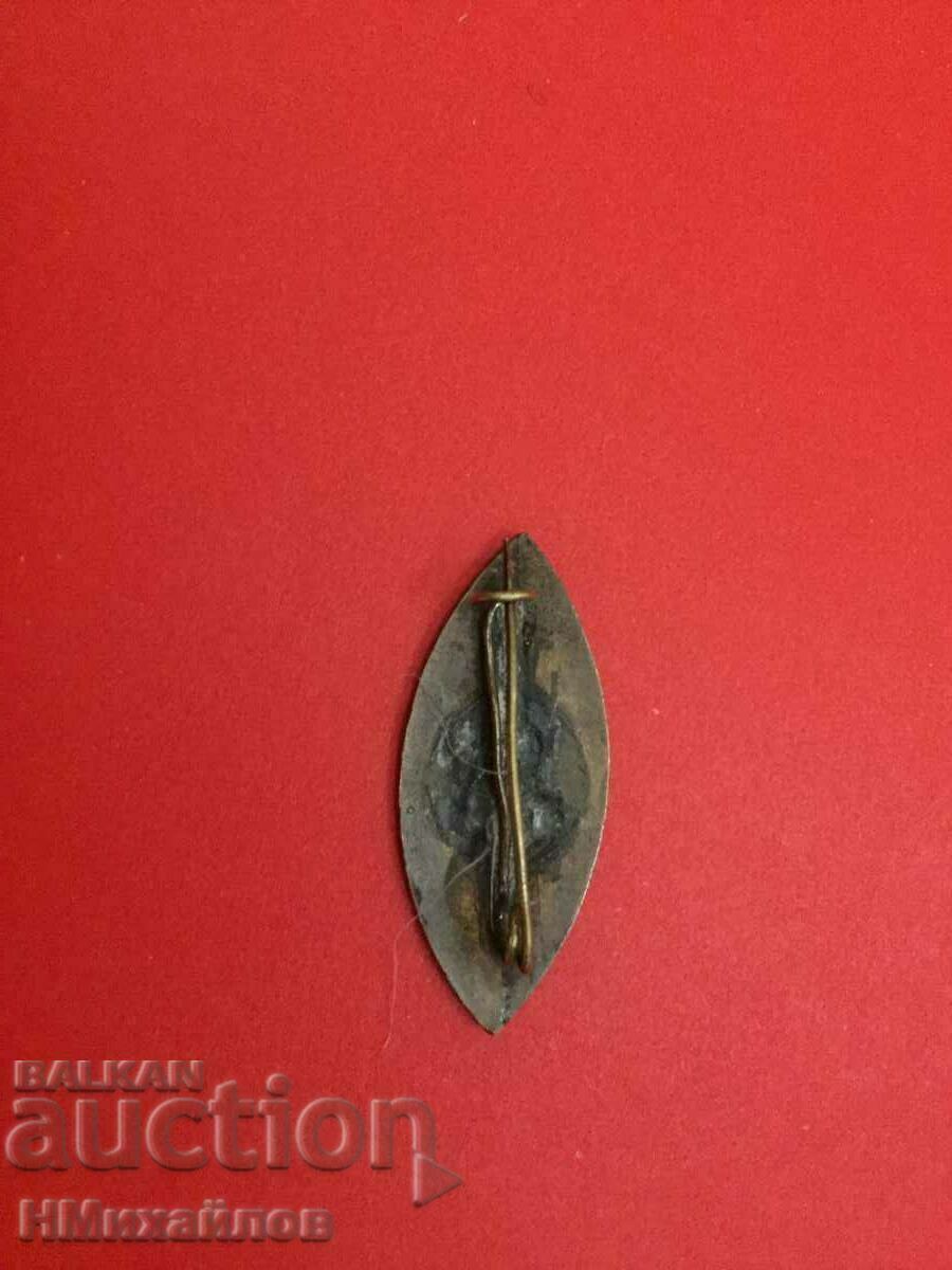 Delivery of Badge - Read the description. Delivery of Badge - Read the description.