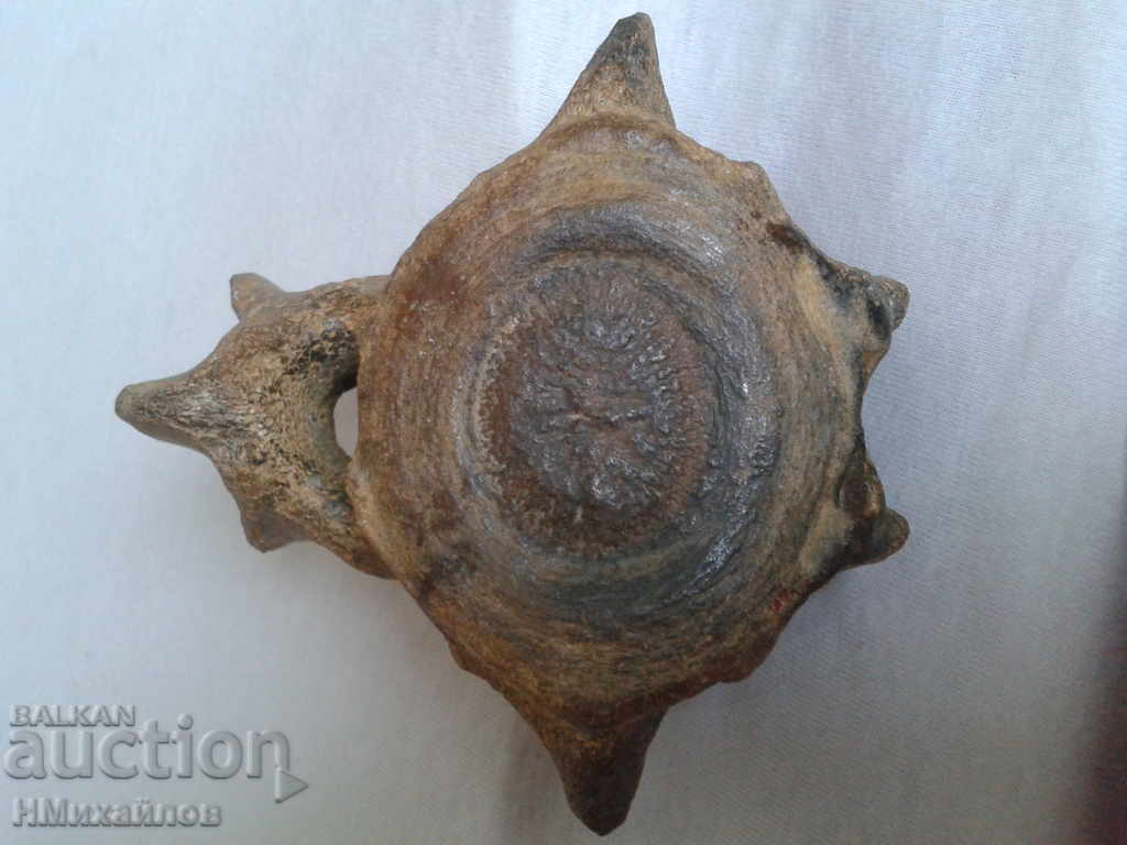 Delivery of Fossil vertebra of a prehistoric horse Delivery of Fossil vertebra of a prehistoric horse