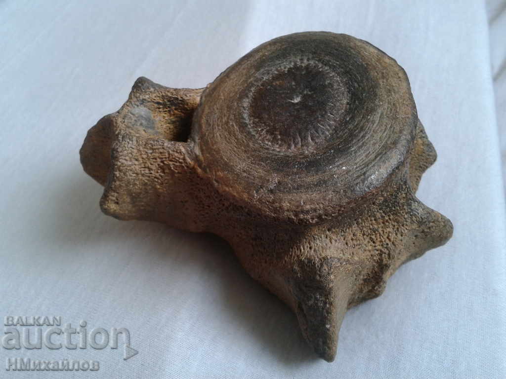 Fossil vertebra of a prehistoric horse - 6 Fossil vertebra of a prehistoric horse - 6