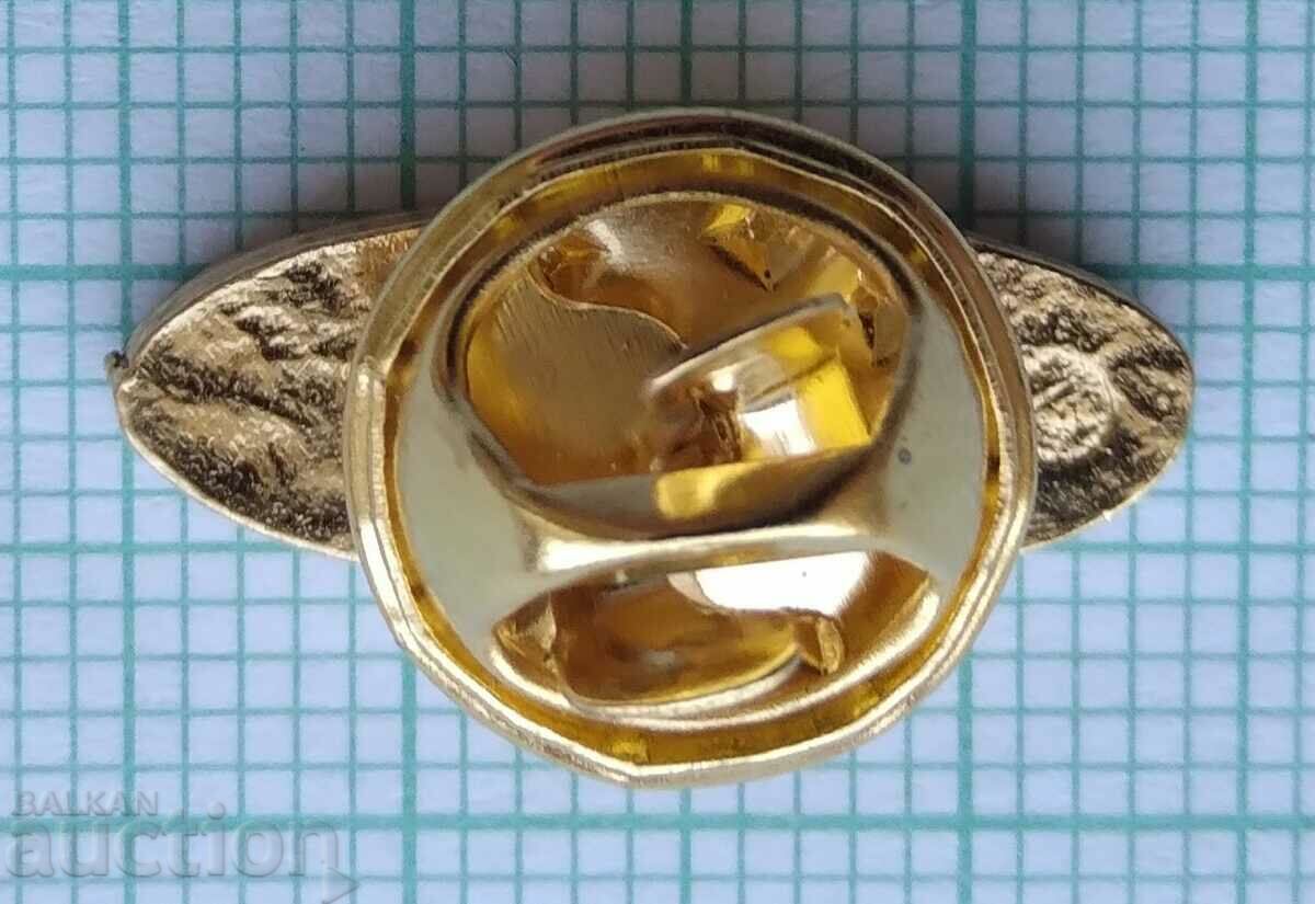 Auction  16202 Badge - Culligan USA Company