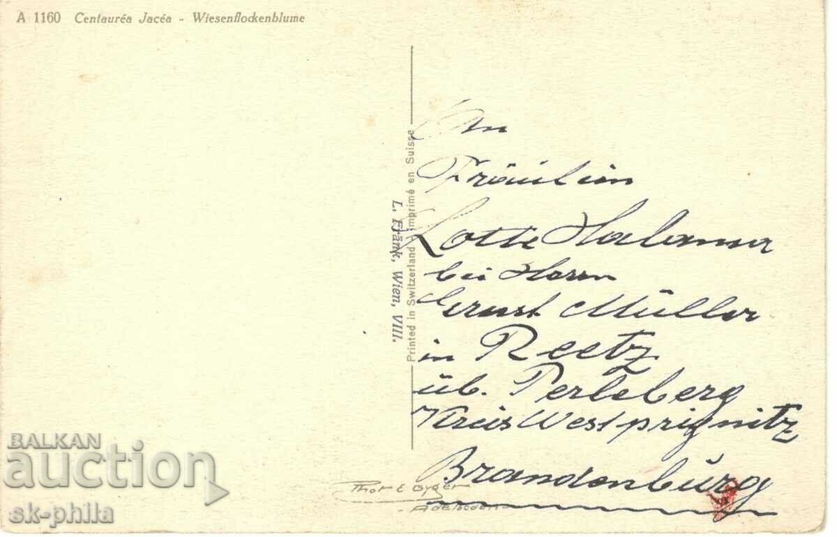 Old card - Greeting - Polish flowers with price 0.60 BGN | € 0.31 Old card - Greeting - Polish flowers with price 0.60 BGN | € 0.31