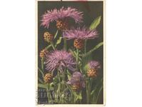 Felicitare veche - Felicitare - Flori poloneze