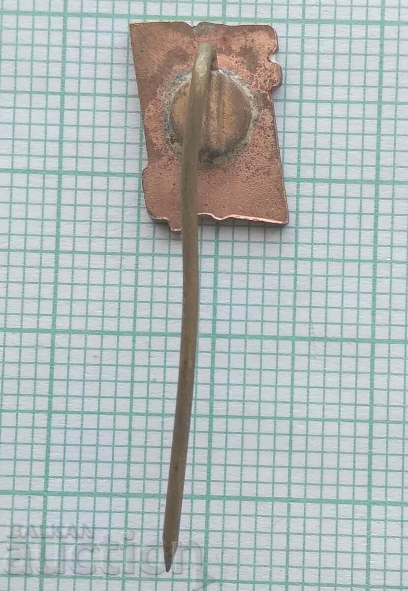 Auction 16243 Badge - SZSP Poland - bronze enamel Auction 16243 Badge - SZSP Poland - bronze enamel