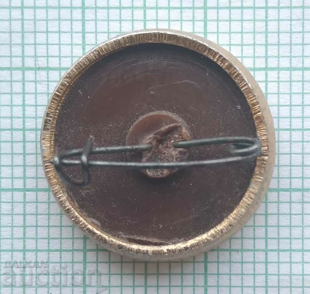 Auction 16246 Badge - USSR cosmonaut Auction 16246 Badge - USSR cosmonaut