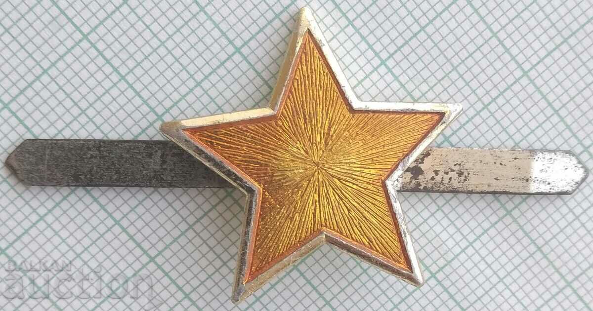 16253 Five-Pointed Star