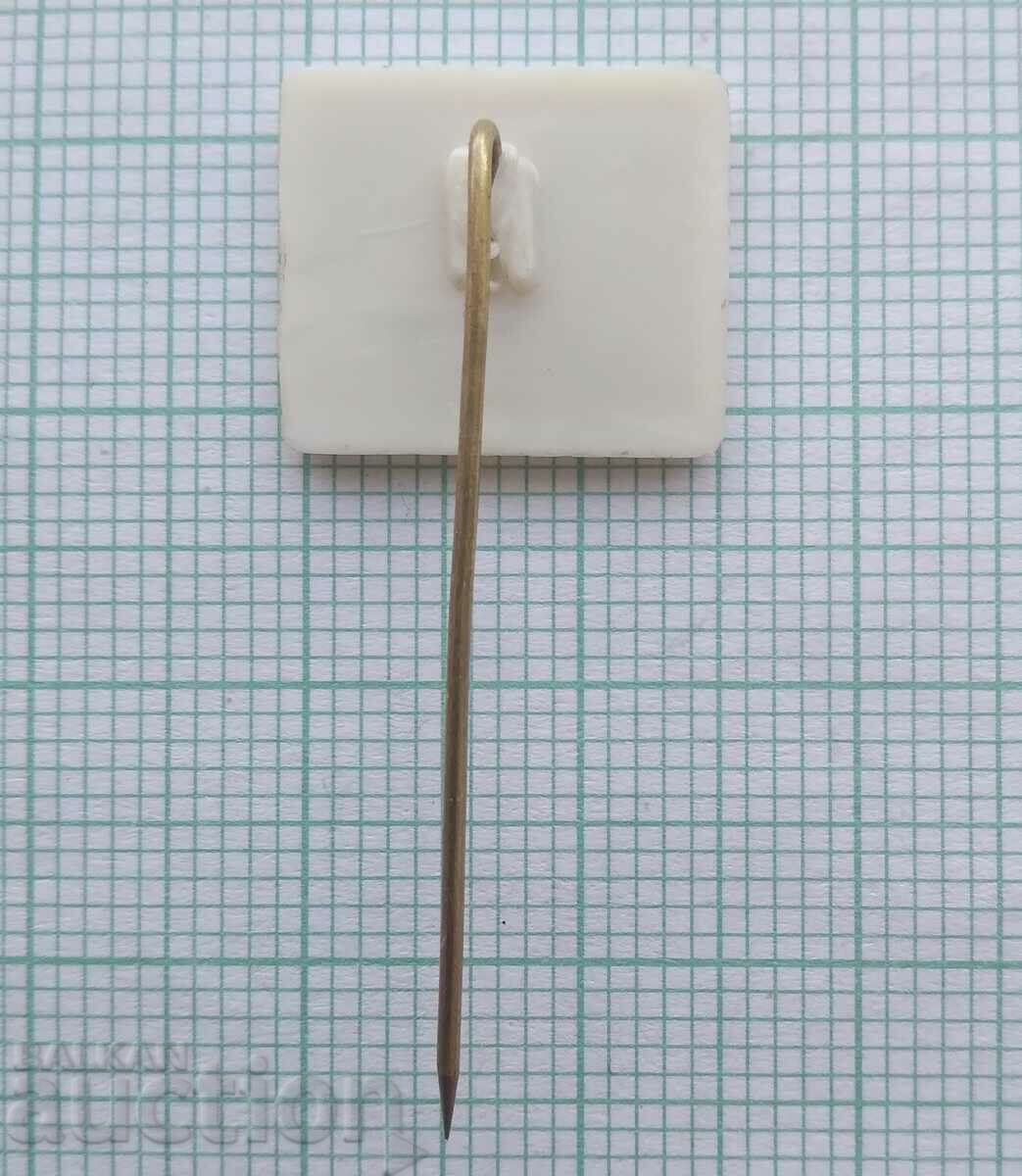 Auction 16256 Badge - National Youth 1970 Auction 16256 Badge - National Youth 1970