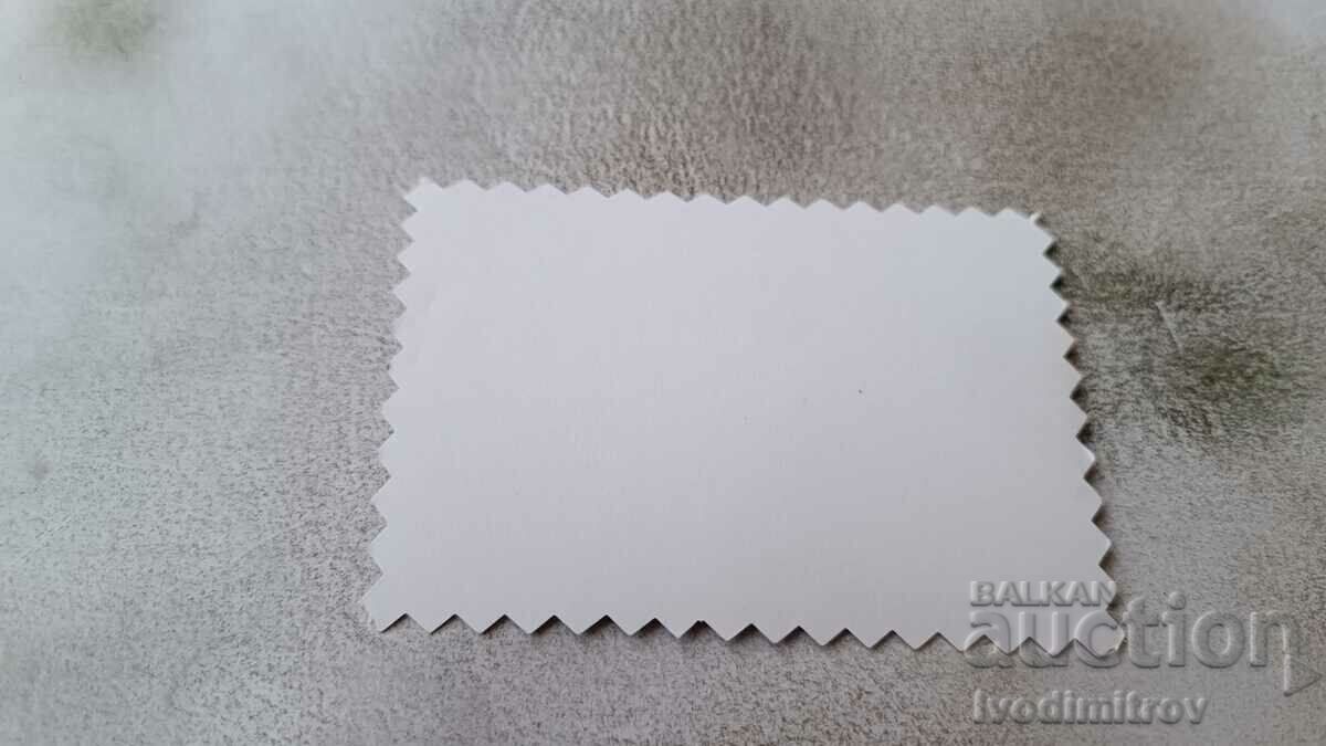 Photo Young man in a swimsuit on a camping bed with price 1.65 BGN | € 0.84