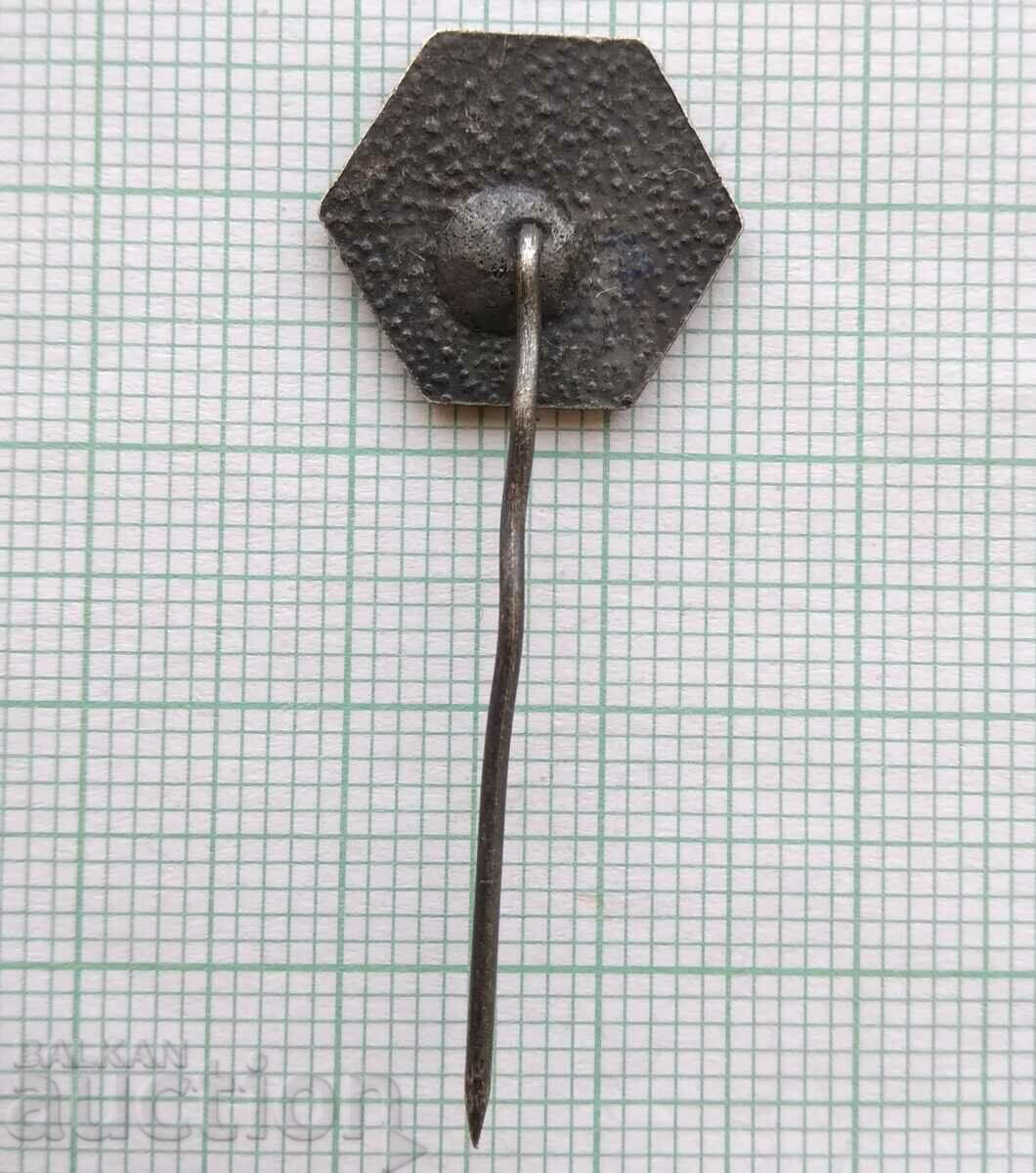 Auction 16270 Badge - TNTM Auction 16270 Badge - TNTM