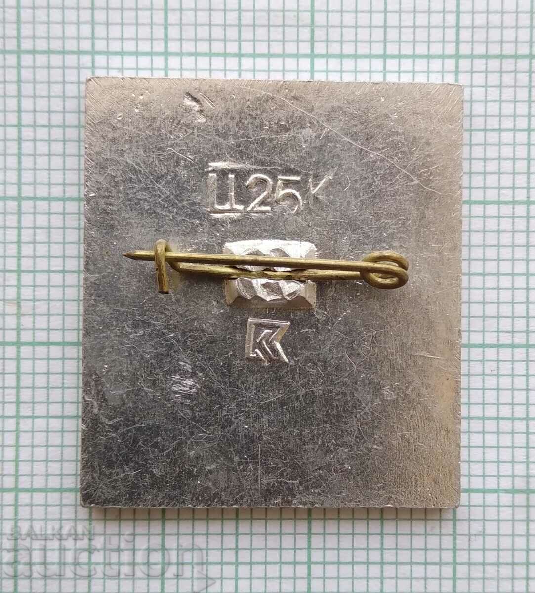 Auction 16272 Badge - Golden Gate Kyiv Auction 16272 Badge - Golden Gate Kyiv