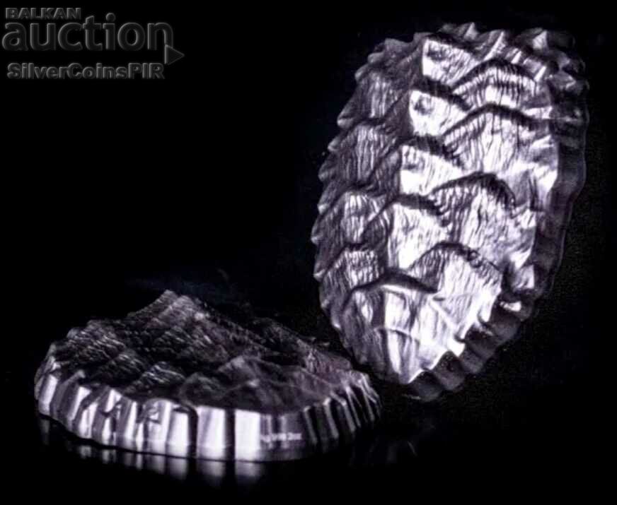 Auction Silver 2 oz Tortoise Coruba 2023 Auction Silver 2 oz Tortoise Coruba 2023
